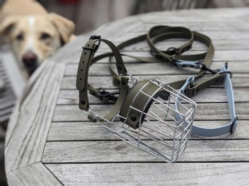 Muzzle-Up mit olivfarbener Biothane bei Studio Schnauz Maulkorbberatung Fürth und Umgebung, Maulkorb-Anpassung, Nürnberg, Langenzenn, Erlangen